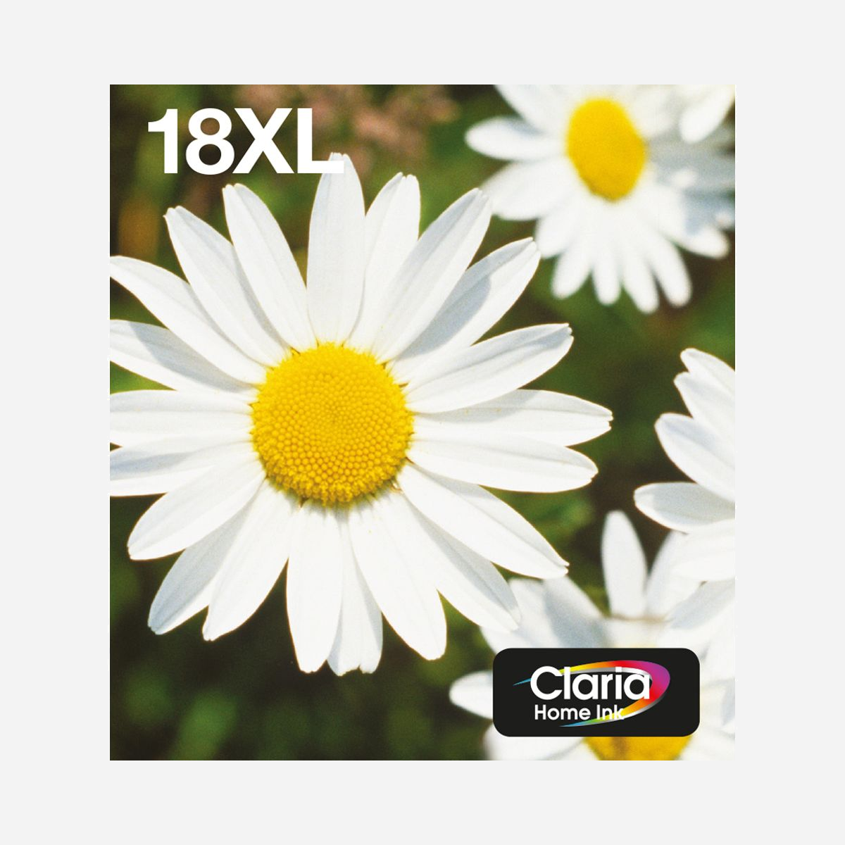 Epson Multipack Daisy 18XL (C13T18164511) - Encre Claria Home N,C,M,J - Original - 1 Noir (11,5ml), 3 Couleurs (6,6ml) - Expression Home XP-XXX Series - <b>Réalisez jusqu’à 30 % d’économies sur l’encre</b>1 <b>grâce aux cartouches d’encre séparées Epson</b><br>Depuis de nombreuses années, Epson fait profiter ses clients des avantages des cartouches d’encre séparées en leur permettant de ne remplacer que la couleur épuisée. Nous savons que ces derniers, lorsqu’ils impriment, n’utilisent pas toutes les couleurs dans des proportions égales et que, la plupart du temps, celles-ci ne s’épuisent pas toutes en même temps.<br><br>Avec les cartouches d’encre couleur monobloc, de l’encre est bien souvent gaspillée car vous devez jeter la cartouche entière, alors qu’une seule couleur est épuisée. Cela veut dire que l’encre restant dans les autres couleurs est jetée par la même occasion, avant qu’elle n’ait été totalement utilisée. Grâce aux cartouches d’encre séparées Epson, en ne remplaçant que la couleur épuisée, vous réalisez jusqu’à 30 % d’économies1.<br><br><b>Réduisez vos coûts d’impression avec les cartouches d’encre très haute capacité</b><br>Epson propose un large choix de cartouches d’encre standard ou très haute capacité dans ses gammes d’encre les plus récentes. Si les cartouches de taille standard permettent de limiter les coûts de remplacement lorsque vous imprimez de manière occasionnelle, les cartouches d’encre très haute capacité sont en revanche parfaites lorsque vous imprimez beaucoup.<br><br><b>Les encres Epson sont optimisées pour les imprimantes Epson</b><br>Les encres Epson ont été développées pour fonctionner parfaitement avec les imprimantes Epson afin de fournir des images éclatantes et des impressions texte précises et résistantes au maculage, qui traverseront des générations. Les encres d’origine Epson sont produites selon des normes strictes et de haute qualité qui permettent à Epson de garantir les performances optimales de l’imprimante, des encres et des supports.<br><br><b>Emballage EasyMail Epson d’origine</b><br>L’achat d’encres en ligne peut se révéler très pratique puisqu’elles vous sont livrées à domicile via le service EasyMail. Et, cerise sur le gâteau, nous avons conçu un emballage spécialement prévu à cet effet : suffisamment compact, il peut se glisser dans n’importe quelle boîte aux lettres, dans la mesure où ces envois restent sans signature. Cela devrait éviter les allers-retours inutiles aux bureaux de poste pour récupérer vos consommables.