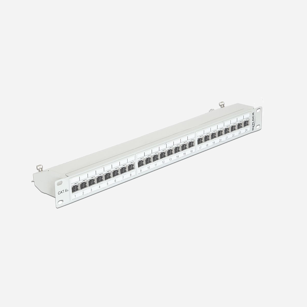 Baie de Branchements DeLOCK 43319 1U, 24 Ports RJ-45 Cat6a, Montage Rack 19", Métal Gris, ISO/IEC 11801 2.2, 483x44x109mm - DeLOCK 43319. Connecteur(s): RJ-45, Types de câbles soutenus: Cat6a. Couleur du produit: Gris, Matériel: Métal, Montage: Montage de rack. Certification: ISO/IEC 11801 2.2, EN 50173-1:2011, EN 60603-7-51, Cat.6A of ANSI/TIA 568-C.2, TIA-568A/B. Largeur: 483 mm, Hauteur: 44 mm, Profondeur: 109 mm. Type d'emballage: Boîte