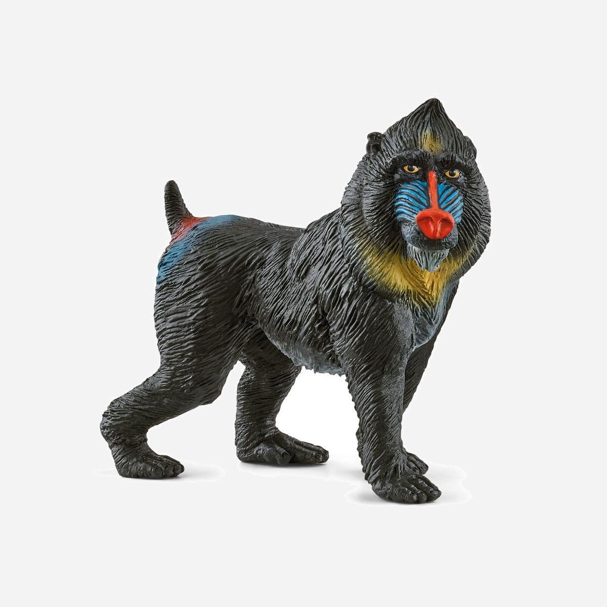 Figurine Schleich WILD LIFE Mandrill 14856, 3+, 65x30x61mm, 31.4g, Animaux, Mandrin, Viet Nam, Matériau Plastique, 1 pièce(s) par emballage - « Houhou, haha ! » fait notre Mandrill Schleich® Wild Life en dansant avec ses amis singes chaque dimanche. Il est chez lui dans les forêts tropicales d’Afrique centrale et mange presque tout ce que la nature a à offrir : des feuilles, des champignons, des insectes voire des grenouilles jusqu’à être repu. Et comme il est le meilleur ami du babouin, il aime aussi partager. Mais il est différent de ses amis : notre mandrill est le mammifère le plus coloré au monde. Il attire tous les regards, car on dirait qu’il peint des toiles avec son visage au lieu d’un pinceau. Mais lui seul pourra te dire si c’est effectivement le cas. Retrouve cette figurine Schleich® Wild Life et bien d’autres encore sur : XXX #likeschleich
