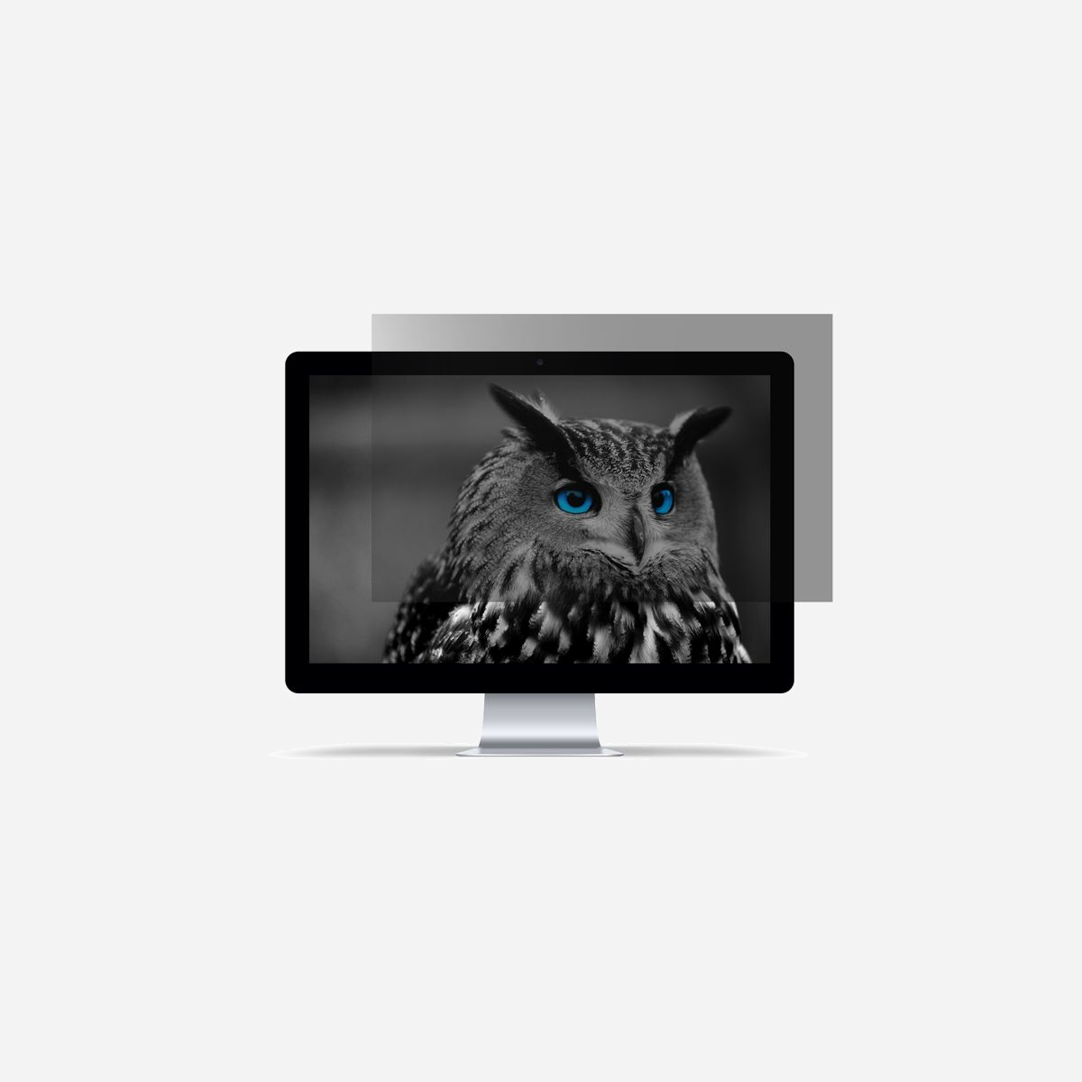 NATEC NFP-1616 Filtre de confidentialité sans bords 13.3" (33.8 cm) 16:9, angle de vue 30°, LCD, 293.9 x 165.5 mm, noir - NATEC NFP-1616. Taille maximale de l’écran: 33,8 cm (13.3"). Format d'image: 16:9. Convient pour: Ordinateur portable, Type: Filtre de confidentialité sans bords pour ordinateur. Limites de l’angle de vue: 30°