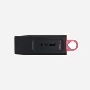 Kingston DataTraveler Exodia DTX/256GB - Clé USB 256Go USB 3.2 Gen 1 Type-A - Compatible Windows/macOS/Linux/Chrome OS - Noir/Rose - Miniature 1