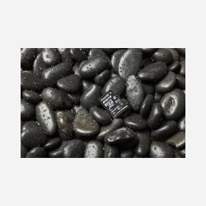 Kingston Technology Canvas Select 32Go microSDHC UHS-I U1 Classe 10 - Lecture 80Mo/s Écriture 10Mo/s FAT32/exFAT - Résistant Chocs/Température/Eau - Miniature 5