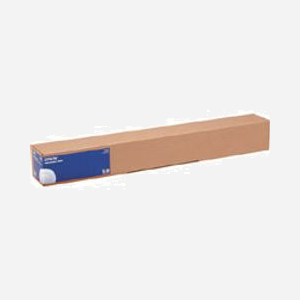 Epson Papier Photo Glacé 250 248g/m² Rouleau 17" (43.2cm x 30.5m) Finition Gloss pour SureColor SC-T et Stylus Pro Series - C13S041892