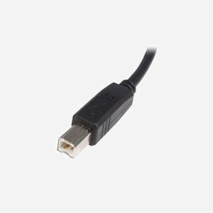 StarTech.com Câble USB 2.0 A-B Mâle/Mâle 0.5m Noir - Connectivité Standard pour Périphériques USB 2.0 - Réf: USB2HAB50CM - Miniature 3