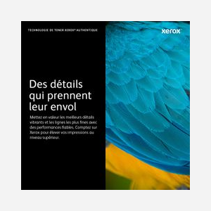 Xerox 106R03620 : Cartouche de Toner Noir Standard (2500 pages) pour Phaser 3330 et WorkCentre 3300 Series - Miniature 3