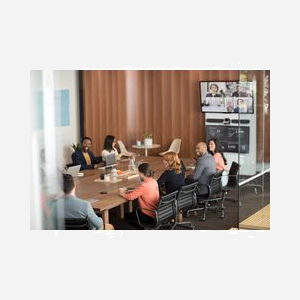 Logitech Rally Haut-Parleur Graphite 960-001230 : 7.6cm, 300-10000Hz, 95dB, XLR, Câble 2.95m, Windows, macOS, ChromeOS, Montage Mural/Table - Miniature 3