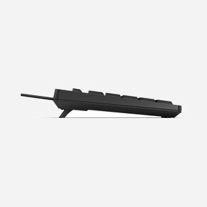 HP Clavier Filaire 125 USB Noir, Clavier à Membrane Taille Réelle (100%), Pavé Numérique, Dimensions 436x138x20.5mm, Poids 80g, Réf: 266C9AA - Miniature 4