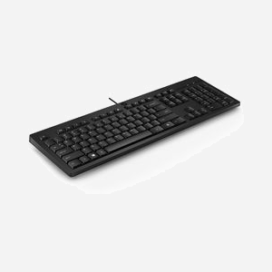 HP Clavier Filaire 125 USB Noir, Clavier à Membrane Taille Réelle (100%), Pavé Numérique, Dimensions 436x138x20.5mm, Poids 80g, Réf: 266C9AA - Miniature 2
