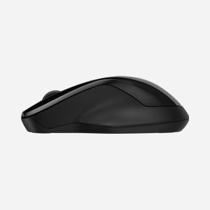 HP Souris 250 Double Mode Noir - Bluetooth 5.0 & USB-A, 1600 DPI, 3 Boutons, Ambidextre, Portée 10m, Autonomie 16 Mois, Windows/macOS/ChromeOS - Miniature 2