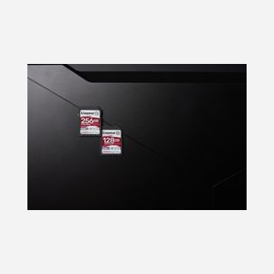 Kingston Technology Canvas React Plus SDXC 128GB UHS-II U3 V90 - Lecture 300MB/s Écriture 260MB/s - Classe 10 - exFAT - Miniature 5