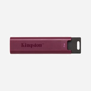Kingston Technology DataTraveler Max 1TB USB 3.2 Gen 2 Type-A - Lecture 1000 Mo/s Écriture 900 Mo/s - Compatible Windows/macOS/Linux - Miniature 1