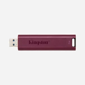 Kingston Technology DataTraveler Max 1TB USB 3.2 Gen 2 Type-A - Lecture 1000 Mo/s Écriture 900 Mo/s - Compatible Windows/macOS/Linux - Miniature 2