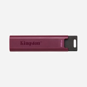 Kingston Technology DataTraveler Max 512GB USB 3.2 Gen 2 Type-A - Lecture 1000Mo/s, Écriture 900Mo/s - Compatible Windows/macOS/Linux/Chrome OS