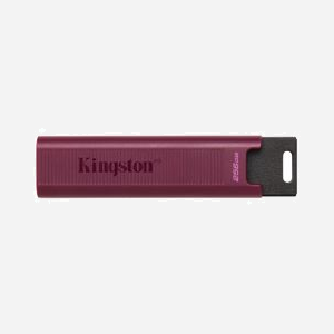 Kingston DataTraveler Max 256GB USB 3.2 Gen 2 Type-A : 1000 Mo/s Lecture, 900 Mo/s Écriture, compatible Windows/macOS/Linux/Chrome OS - Miniature 1