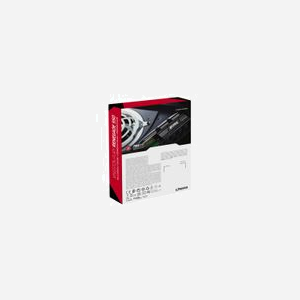 Kingston FURY Renegade SSD 2To PCIe 4.0 NVMe M.2 3D TLC avec Radiateur - Lecture 7300 Mo/s Écriture 7000 Mo/s - 1000000 IOPS - Miniature 5