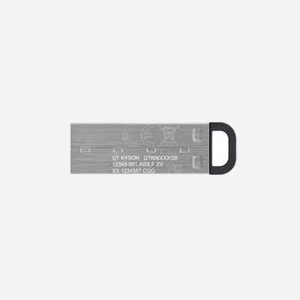 Kingston Technology DataTraveler Kyson 512Go USB 3.2 Gen 1 Type-A, Lecture 200Mo/s, Ecriture 60Mo/s, Argent, Compatible Windows/macOS/Linux/Chrome OS - Miniature 2