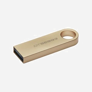 Kingston Technology DataTraveler SE9 G3 256Go USB 3.2 Gen 1 220Mo/s Lecture 100Mo/s Écriture Boîtier Métal Or Compatible Windows macOS Linux - Miniature 4