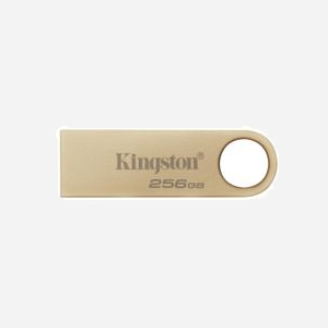 Kingston Technology DataTraveler SE9 G3 256Go USB 3.2 Gen 1 220Mo/s Lecture 100Mo/s Écriture Boîtier Métal Or Compatible Windows macOS Linux - Miniature 1