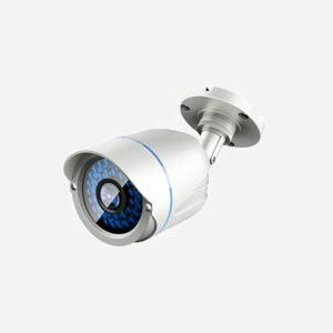 LevelOne ACS-5602 Caméra CCTV Extérieure Balle Focale Fixe 3.6mm, LED IR 30m, IP67, Capteur CMOS 1/3", Jour/Nuit, Alimentation 12V 1A