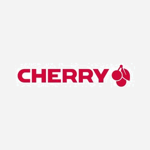 CHERRY DW 9100 SLIM Ensemble Clavier QWERTY UK + Souris, RF sans fil/Bluetooth, 2400 DPI, Batterie 650mAh, Portée 10m, Noir