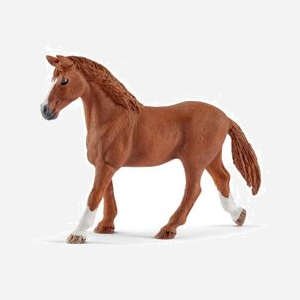 schleich Horse Club 42458 : Jument Appaloosa & Poulain avec Ruby, niche et accessoires. Plastique multicolore, 20 pièces, 5-12 ans. Dimensions : 400x300x200 mm - Miniature 5