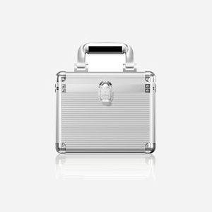 ICY BOX IB-AC628 Valise de Transport Métal/Plastique Argent pour HDD 2.5/3.5", 240x200x230mm, Poignée Argent, 10 Périphériques Supportés - Miniature 3