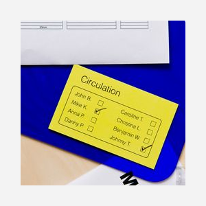 Brother DK-44605 Ruban Continu Papier Jaune 62mm x 30.48m Original – Étiquettes DK Standard pour Étiqueteuses Brother QL – Code SH: 84439990 - Miniature 3