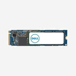 DELL SSD 1To M.2 PCIe 4.0 NVMe AC037409 pour PC/Ordinateur Portable (Alienware Aurora R13/R14, Inspiron, Latitude, OptiPlex, Precision, Vostro, XPS)