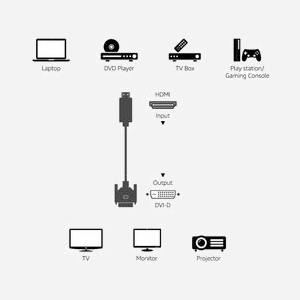 Techly Câble HDMI vers DVI-D 1m Noir - Connecteurs Mâle/Mâle, Résolution 1920x1080, AWG 30, Contacts Plaqué Or, Double Blindage, PVC - Miniature 3