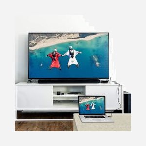 Techly Câble HDMI vers DVI-D 1m Noir - Connecteurs Mâle/Mâle, Résolution 1920x1080, AWG 30, Contacts Plaqué Or, Double Blindage, PVC - Miniature 5
