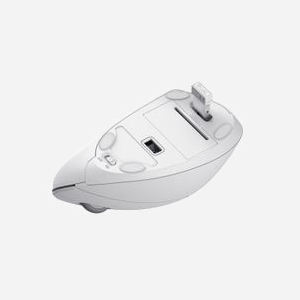 Trust Verto Souris Ergonomique Verticale RF sans fil 1600 DPI Optique 6 Boutons, portée 10m, 2.4GHz, USB Type-A, 2xAAA, compatible Windows/macOS/ChromeOS - Miniature 3