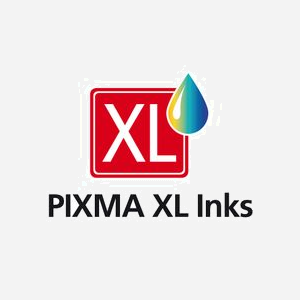 Canon 6431B010 Pack de 2 Cartouches d'Encre Noire Originales - Compatibilité PIXMA iP7250, MG5450, MX925 et autres modèles - Fabriqué au Japon - Miniature 4