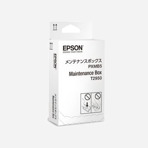 Epson C13T295000 Récupérateur d'encre usagée pour WorkForce WF-100W, Poubelle de toner, Noir, 25x150x77 mm
