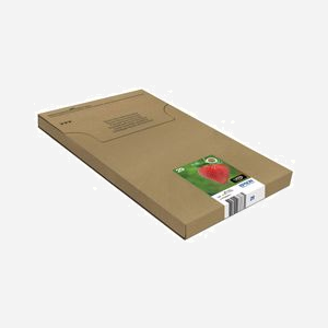 Epson Multipack Fraise 29 C13T29864511 : 1 Noir 5.3ml + 3 Couleurs 3.2ml Claria Home Ink - Jet d'encre - Expression Home XP-235 à XP-455 - Miniature 5