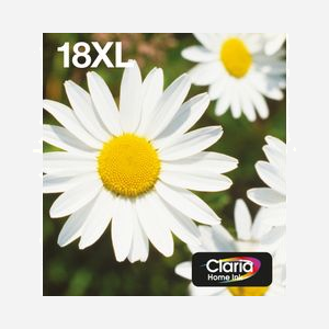 Epson Multipack Daisy 18XL (C13T18164511) - Encre Claria Home N,C,M,J - Original - 1 Noir (11,5ml), 3 Couleurs (6,6ml) - Expression Home XP-XXX Series