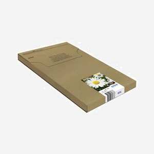 Epson Multipack Daisy 18XL (C13T18164511) - Encre Claria Home N,C,M,J - Original - 1 Noir (11,5ml), 3 Couleurs (6,6ml) - Expression Home XP-XXX Series - Miniature 3