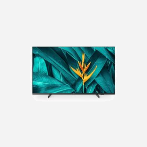 Philips Ecran Professionnel 55" LED 4K Ultra HD (3840x2160) Smart TV Android TV 9.0, DVB-T2/C, Wifi, Ethernet, 3xHDMI, 2xUSB, VESA 100x200