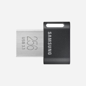 Samsung MUF-256AB/APC Clé USB 256 Go USB 3.2 Gen 1 Type-A Gris/Argent, Lecture 300 Mo/s, Protection Choc/Température, Logiciel Magician