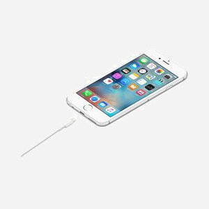 Apple Câble Lightning vers USB-A 1m Blanc - Connecteurs Mâle/Mâle - Référence MXLY2ZM/A - USB 2.0 - Synchronisation et Recharge - Miniature 2