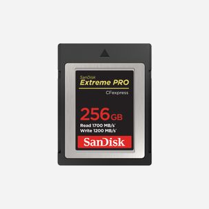 SanDisk CFexpress Type B 256 Go SDCFE-256G-GN4NN, Lecture 1700 Mo/s, Écriture 1200 Mo/s, 29.7x38.6x98.8mm