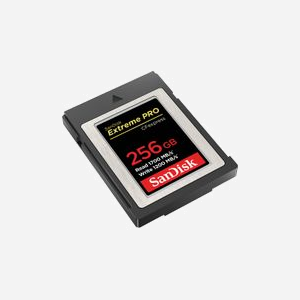 SanDisk CFexpress Type B 256 Go SDCFE-256G-GN4NN, Lecture 1700 Mo/s, Écriture 1200 Mo/s, 29.7x38.6x98.8mm - Miniature 3