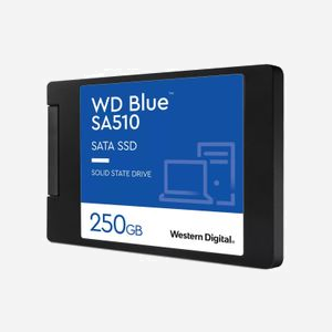 Western Digital Blue SA510 SSD 250 Go 2.5" SATA III 6Gb/s Lecture 555 Mo/s Écriture 440 Mo/s 80K/78K IOPS TBW 100 pour PC/Portable - Miniature 2