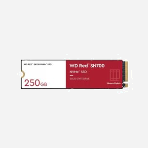 Western Digital WD Red SN700 250 Go SSD M.2 PCIe 3.0 NVMe pour NAS - Lecture 3100 Mo/s, Ecriture 1600 Mo/s, 220K/180K IOPS - Miniature 1