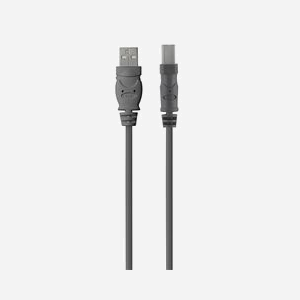 Belkin Câble USB 2.0 A vers USB 2.0 B 4.8m - Connecteurs Mâle/Mâle plaqués Or - Débit 480 Mbit/s - Gris - Compatible PC, Mac et périphériques USB