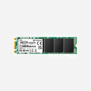 Transcend SSD M.2 825S 2 To SATA III 3D NAND Lecture 560 Mo/s Écriture 500 Mo/s 2280 IOPS 80000 Lecture/Écriture Aléatoire Support TRIM