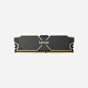 Lexar DDR5 ECC 32GB (2x16GB) 6000MHz CL32 DIMM 288-pin avec radiateur et Intel XMP 3.0 (LD5U16G60C32LG-RGD)