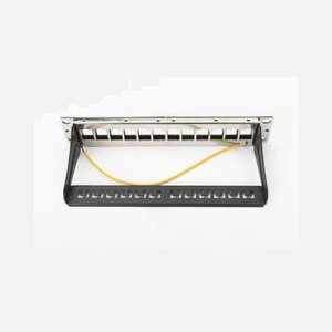 Digitus Panneau de Brassage 12 Ports 1U, Acier Robuste, Montage Rack 10", Compatible Modules Keystone Blindés/Non Blindés, Noir RAL 9005 (DN-91420) - Miniature 2