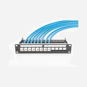 Digitus Panneau de Brassage 12 Ports 1U, Acier Robuste, Montage Rack 10", Compatible Modules Keystone Blindés/Non Blindés, Noir RAL 9005 (DN-91420) - Miniature 3