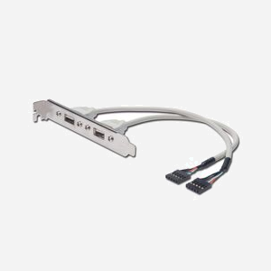 Digitus AK-300301-002-E : Câble Cache Fente USB 2.0, 0.25m, Connecteur USB-A vers IDC, 480 Mbps, AWG28, Certification UL2725