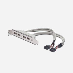 Digitus AK-300304-002-E : Cache Fente Logement Port USB 2.0, 480 Mbps, Connexion Interne Carte Mère vers Ports USB Externe - Miniature 1